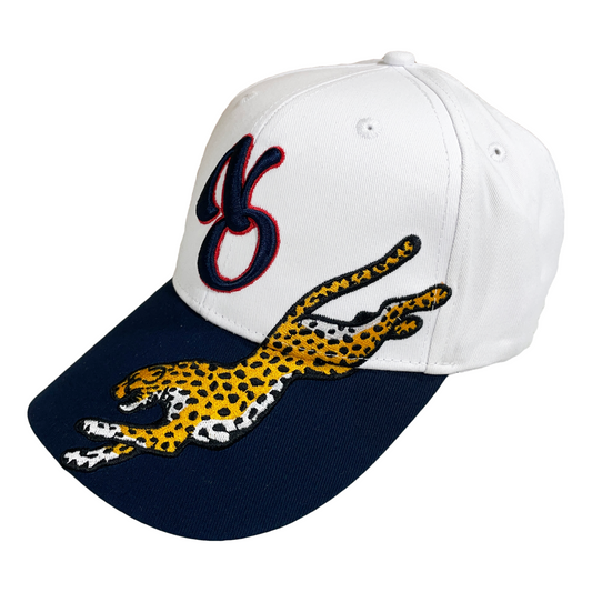 Cheetah Hat